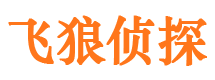 沙湾区外遇出轨调查取证